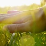 Innere Kind Begleitung